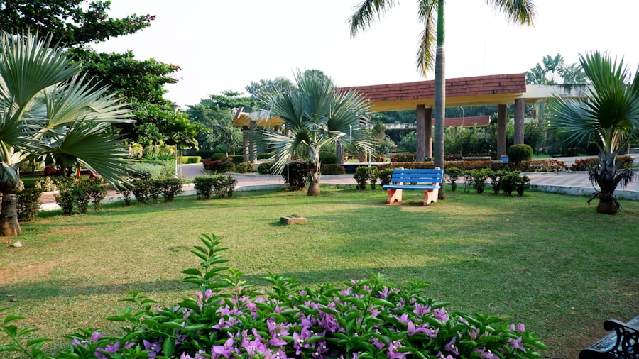 Photo Beautiful garden