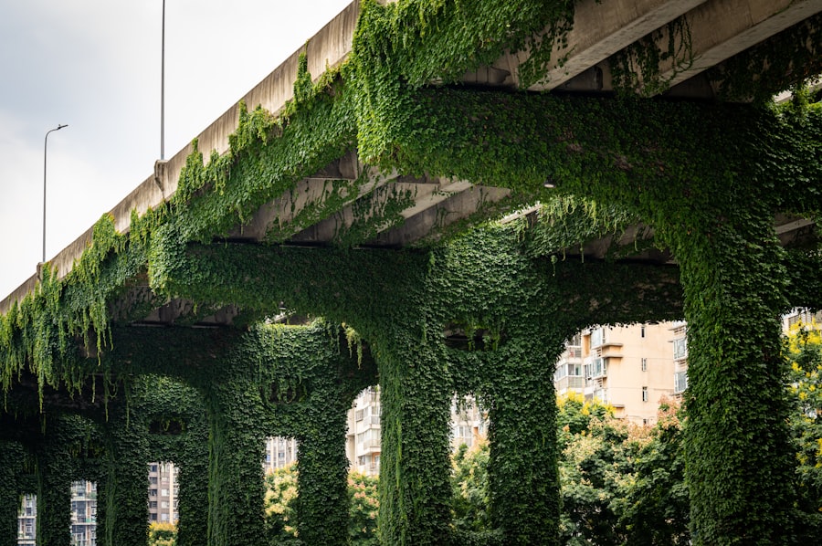 Photo apartment with garden