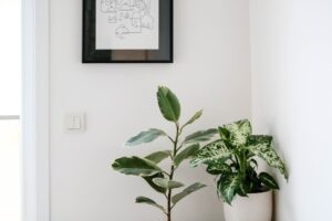 Odkupimy Nieruchomość 28 Photo apartment purchase