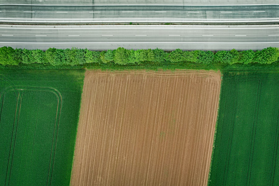 Sprzedaż gruntów rolnych – poradnik dla inwestorów 2 Sprzedaż gruntów rolnych