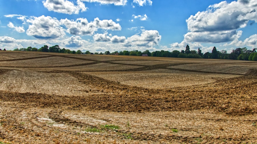 Sprzedaż gruntów rolnych – poradnik dla inwestorów 3 Photo Sprzedaż gruntów rolnych