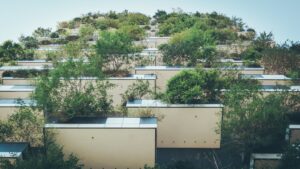 Photo ecological houses